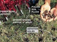 Aerator core plugs being pulled from a lawn