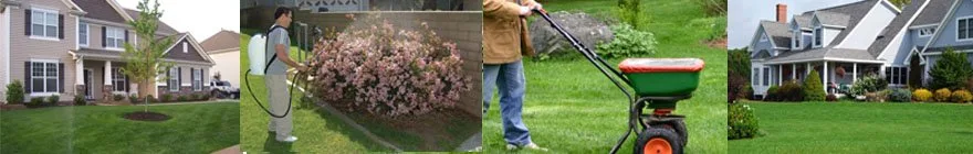 Higgins Landscaping work: a technician spraying a flowering shrub, a fertilizer spreader, and two healthy suburban lawns