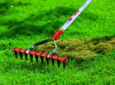 Dethatching rake working through a lawn