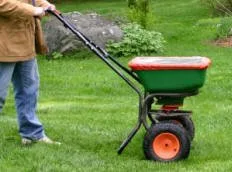 A technician spreading fertilizer across a green lawn with a handheld spreader